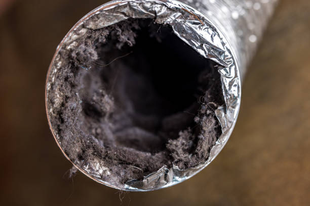 Best HVAC Duct Inspection Services  in Oak Grove, MN