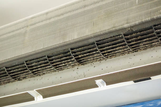 Best Affordable Duct Cleaning Services  in Oak Grove, MN